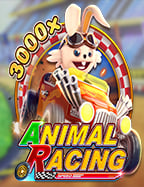 Double Fortune สูตร