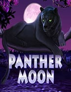 โปรแกรมสูตรคาสิโน สำหรับการทำเงินในเกมสล็อต